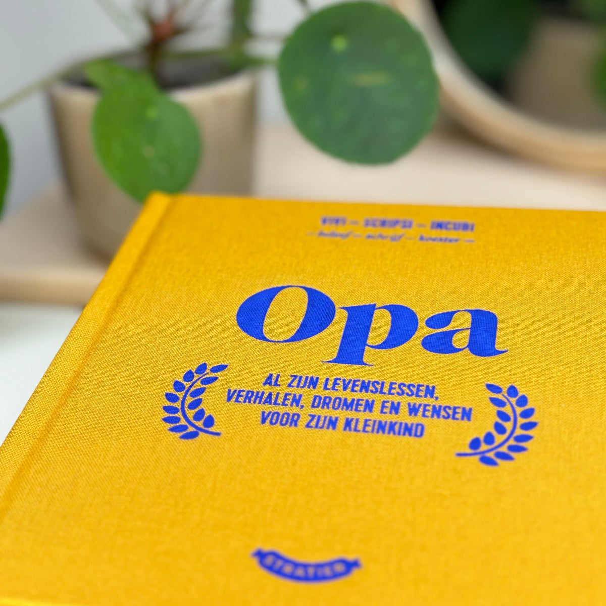 opa boek stratier dieter coppens invulboek