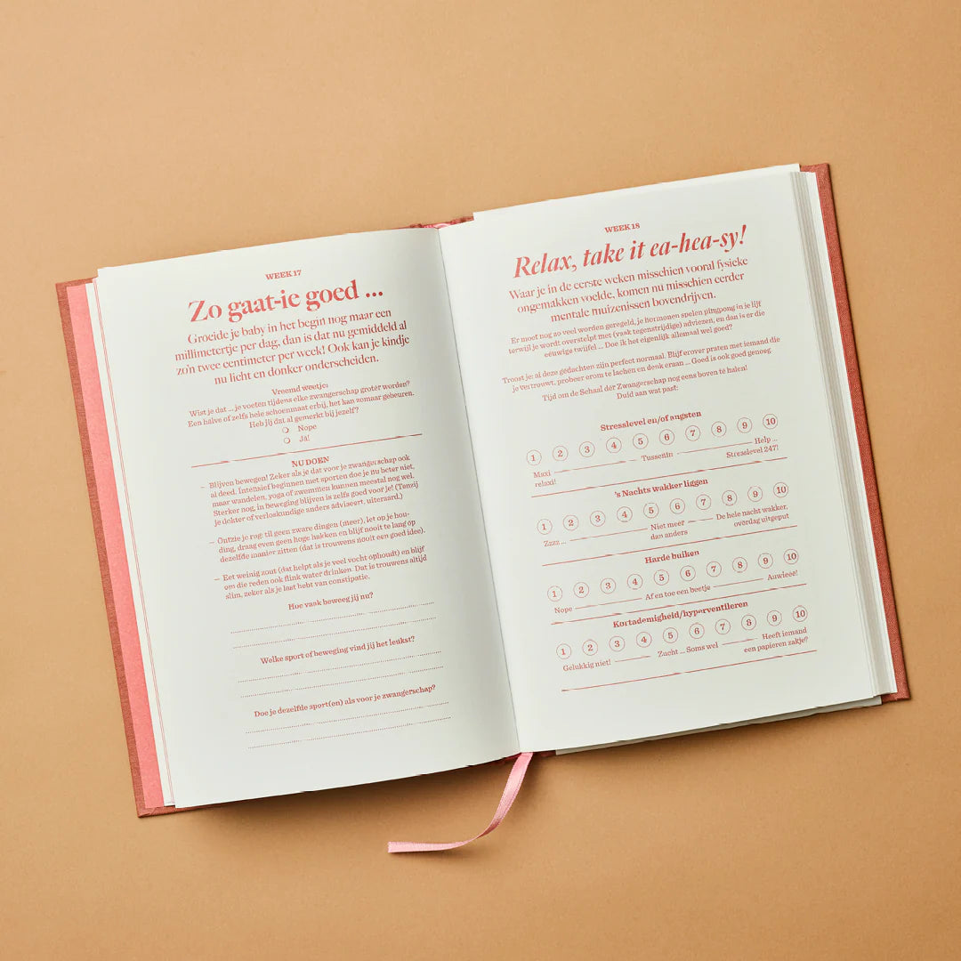 invulboek hallo mini wonder zwanger zwangerschap stratier dieper coppens 9 maanden boek