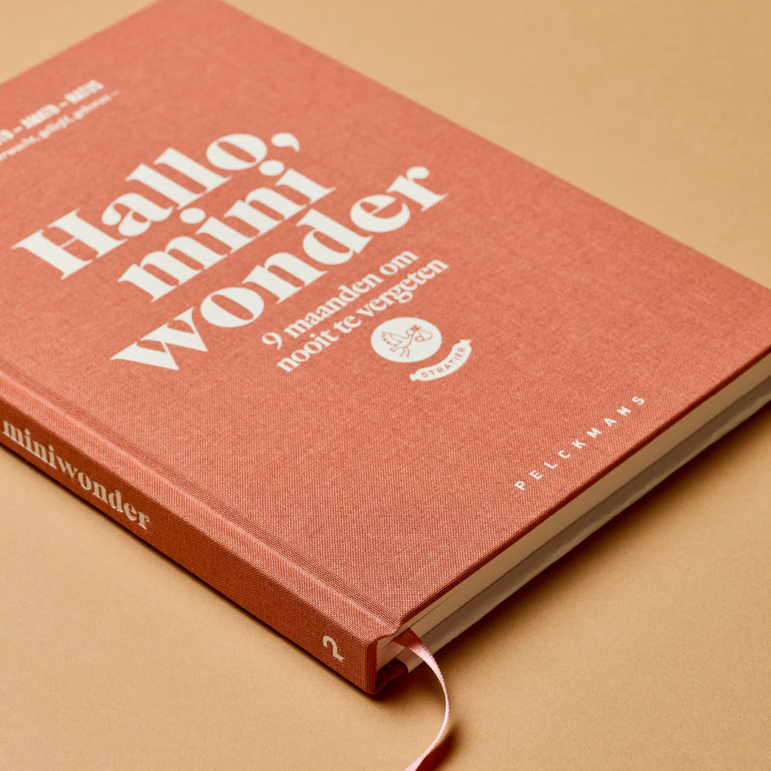invulboek hallo mini wonder zwanger zwangerschap stratier dieper coppens 9 maanden boek