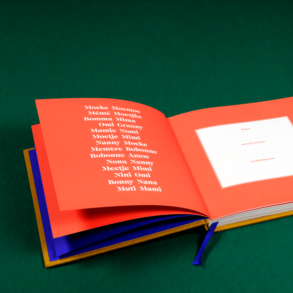 oma boek stratier dieter coppens invulboek