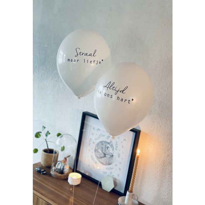 troost ballon altijd in ons hart vlinderkusje