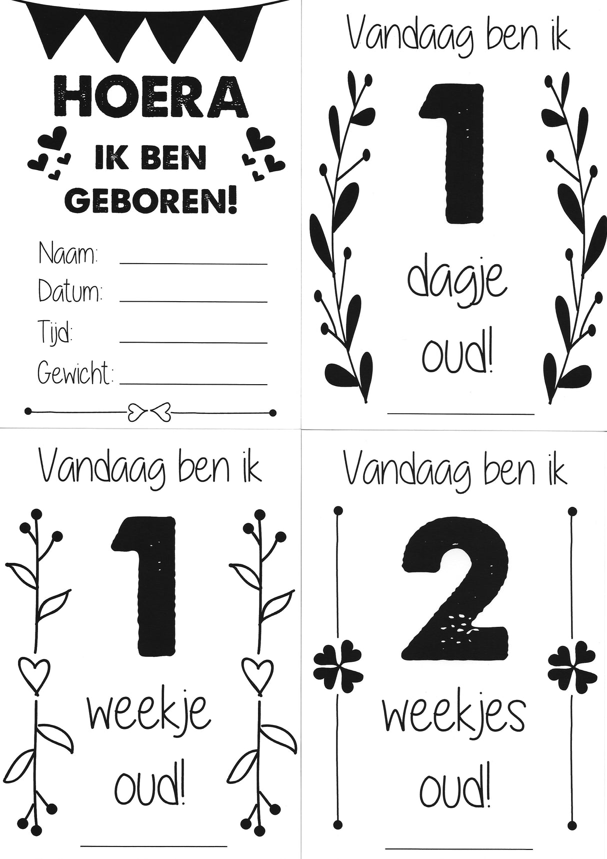 Mijlpaalkaarten '1ste jaar' (zwart-wit) - HelloBaby.be