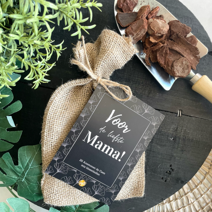 Bloembollen • Mama