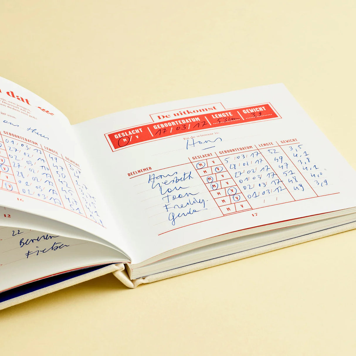 9 maanden invulboek stratier dieter coppens in de buik van mama beige