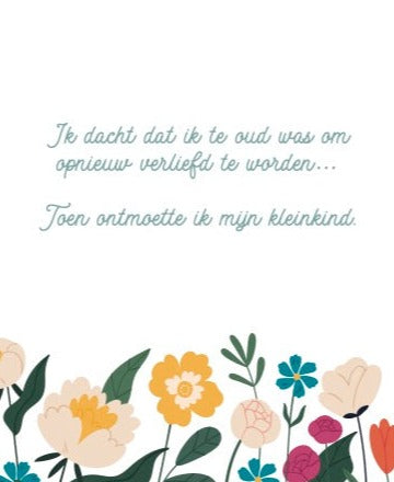 Boek • Opa Voor Beginners