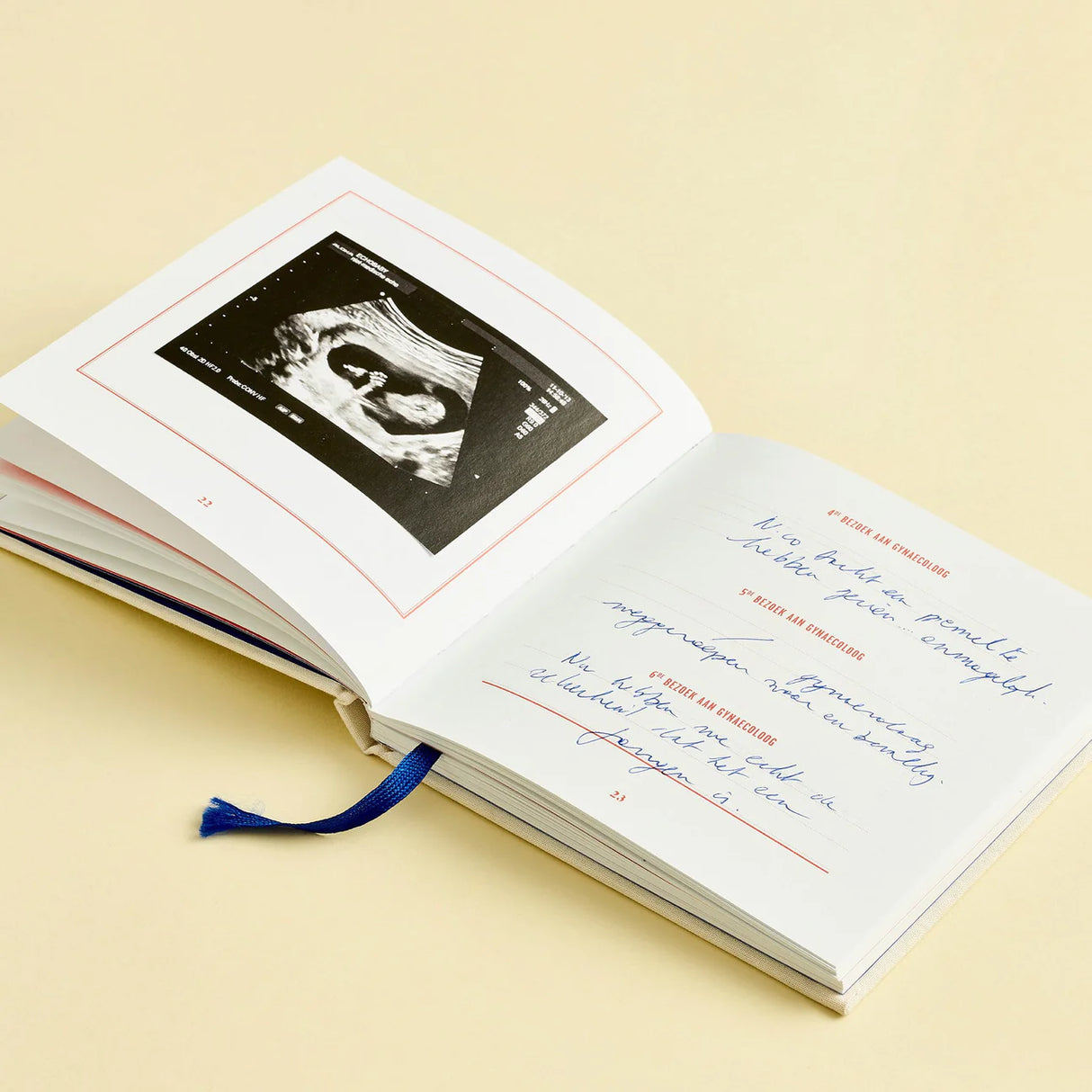 9 maanden invulboek stratier dieter coppens in de buik van mama beige