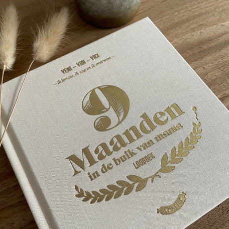 9 maanden invulboek stratier dieter coppens in de buik van mama beige