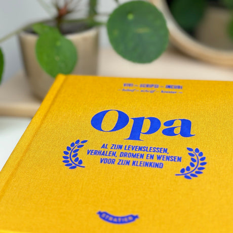 opa boek stratier dieter coppens invulboek