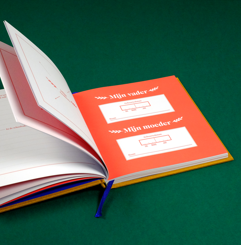 opa boek stratier dieter coppens invulboek