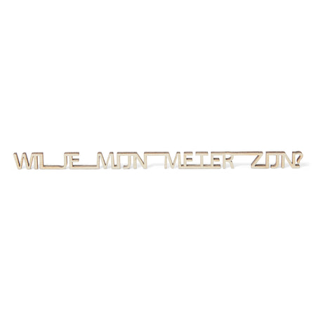 Uitgesneden tekst ‘Wil je mijn meter zijn?’ in het beige op een witte achtergrond.