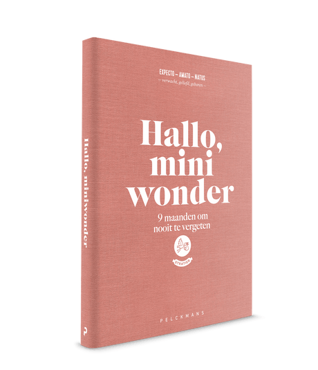 invulboek hallo mini wonder zwanger zwangerschap stratier dieper coppens 9 maanden boek