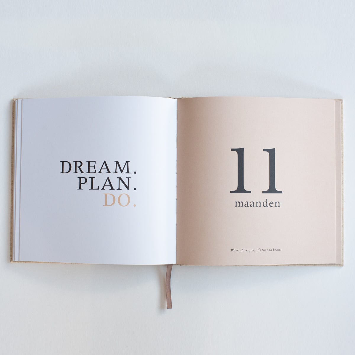 Invulboek Mijn Eerste Jaar, open bij 11 maanden, met links de tekst ‘Dream. Plan. Do.’ en rechts een lichtroze pagina.