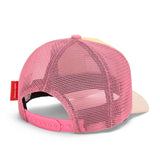 Pet Mini Chupa • Hello Hossy
