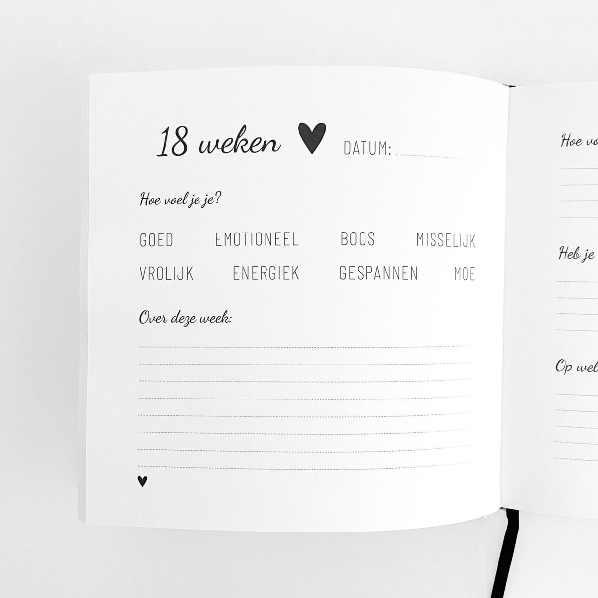 Invulboek • Zwangerschap