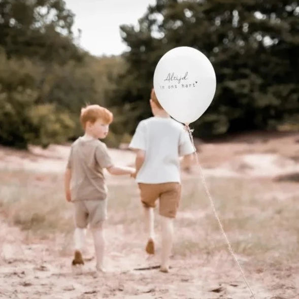 troost ballon altijd in ons hart vlinderkusje