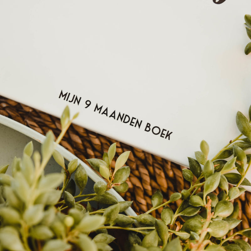 Mijn 9 maanden | Invulboek - HelloBaby.be
