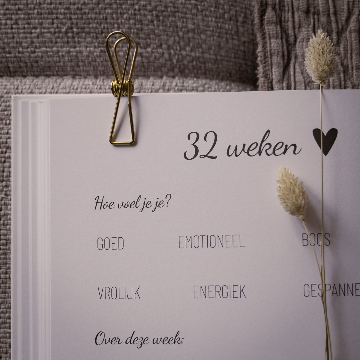 Detail van het zwangerschapsdagboek bij 32 weken, met gevoelsvragen, een goudkleurige klem en droogbloemen.