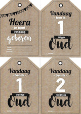 Mijlpaallkaarten '1ste jaar' (labels) - HelloBaby.be